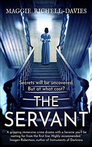 Stock image for The Servant for sale by AwesomeBooks