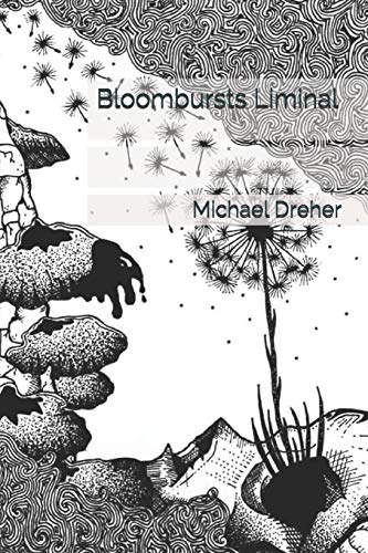 Imagen de archivo de Bloombursts Liminal a la venta por ALLBOOKS1