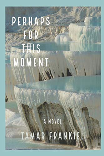 Stock image for PERHAPS FOR THIS MOMENT: A NOVEL for sale by ALLBOOKS1