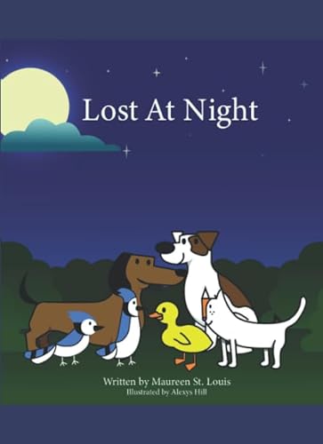 Stock image for Lost At Night for sale by Austin Goodwill 1101