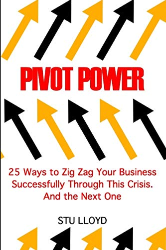 Stock image for PIVOT POWER 25 Ways to Zig Zag Your Business Successfully Through This Crisis And the Next for sale by PBShop.store US