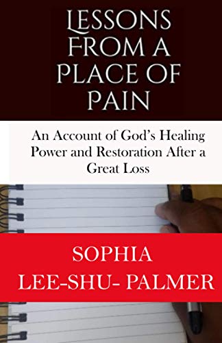 Imagen de archivo de Lessons From a Place of Pain: An account of God's healing and restoration after a great loss a la venta por GreatBookPrices