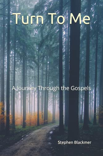 Imagen de archivo de Turn To Me: A Journey Through the Gospels (A Journey Through the Bible) a la venta por Big River Books