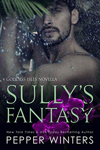 Imagen de archivo de Sully's Fantasy (Goddess Isles) a la venta por Better World Books