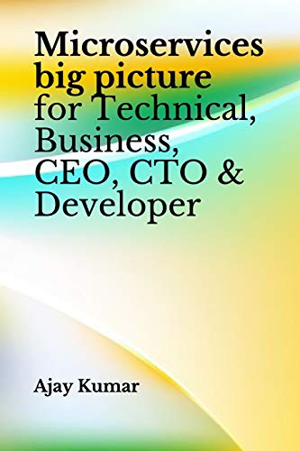 9798653371714: Microservices big picture for Technical, Business, CEO, CTO & Developer