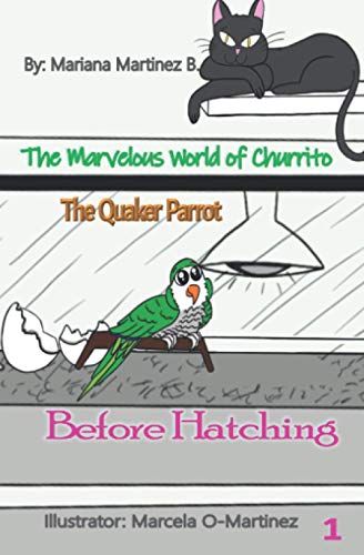Imagen de archivo de The Marvelous World of Churrito: The Quaker Parrot a la venta por GreatBookPrices