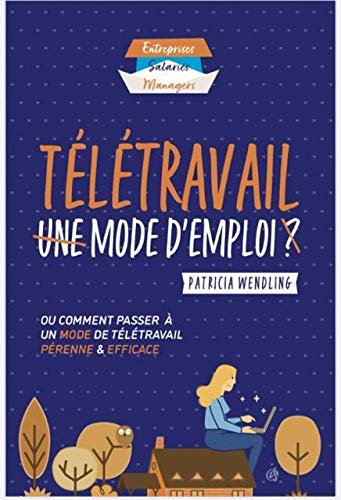 Stock image for Teletravail Mode d'Emploi - Ou Comment Passer a un Mode de Teletravail Perenne et Efficace for sale by medimops