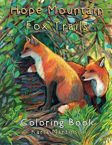 Stock-Bild f�r Fox Trails Coloring Book