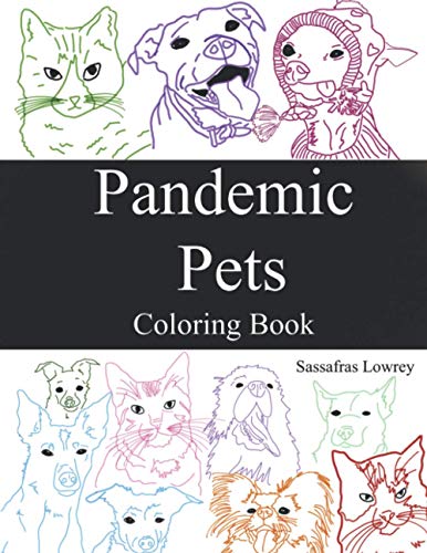 Imagen de archivo de Pandemic Pets a la venta por ALLBOOKS1