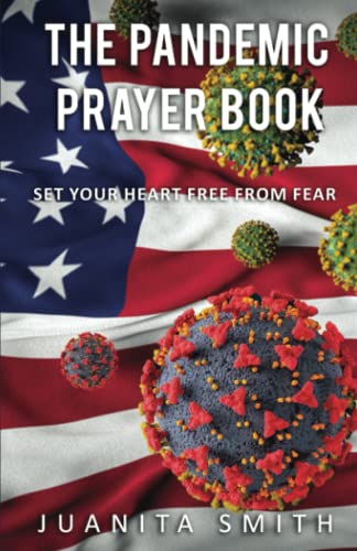 Beispielbild fr Pandemic Prayer Book zum Verkauf von PBShop.store US