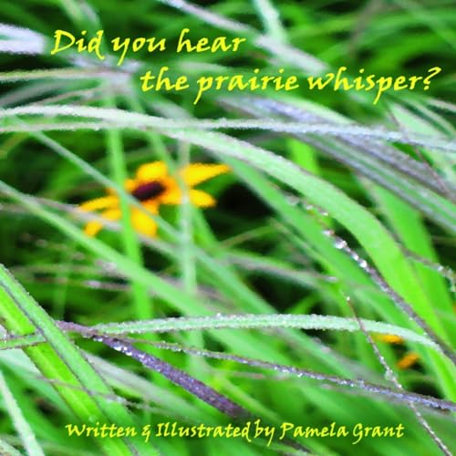 Beispielbild fr Did you hear the prairie whisper? zum Verkauf von PBShop.store US