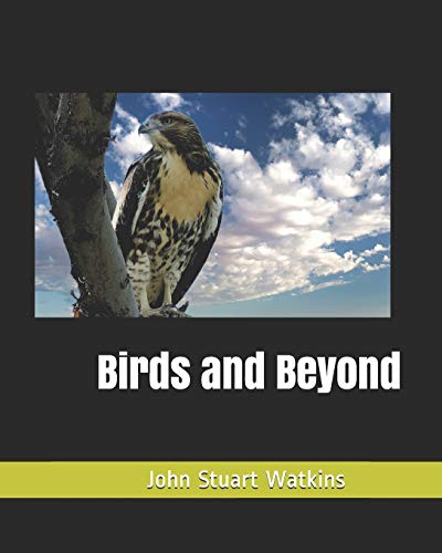 Stock image for Birds and Beyond for sale by ALLBOOKS1
