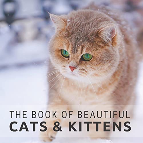 Immagine stock per The Book of Beautiful Cats & Kittens: Picture Book For Seniors With Dementia (Alzheimer's)