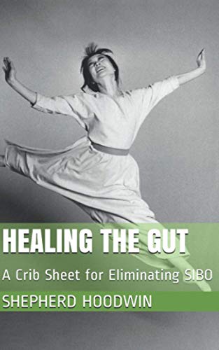 Stock image for Healing the Gut: A Crib Sheet for Eliminating SIBO for sale by GreatBookPrices