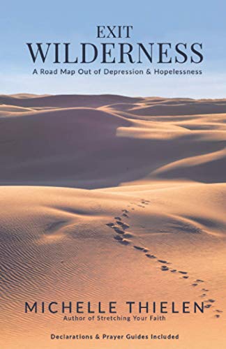 Stock image for Exit Wilderness: A Roadmap Out of Depression and Hopelessness for sale by Omega