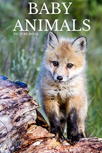 Beispielbild fr BABY ANIMALS PICTURE BOOK: 40 Beautiful Baby Animal Photos for Dementia & Alzheimer Patients to Help Memory Loss | 40 Various Animal mages | Perfect Relaxing Activity Gift from Caregivers zum Verkauf von AwesomeBooks