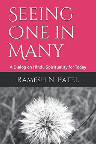 Imagen de archivo de Seeing One in Many: A Dialog on Hindu Spirituality for Today a la venta por Ria Christie Collections