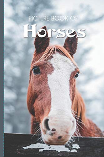 Imagen de archivo de Picture Book Of Horses: Large Print Book For Seniors with Dementia or Alzheimer's a la venta por GreatBookPrices