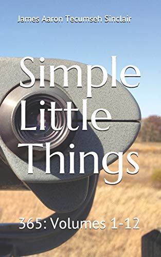 Stock image for Simple Little Things: 365: Volumes 1-12 for sale by Chiron Media