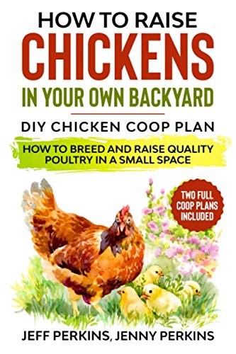 Stock image for How to Raise Chickens in your own Backyard: DIY Chicken Coop Plan - How to Breed and Raise Quality Poultry in a Small Space for sale by Goodwill Industries of VSB