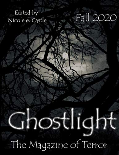 Stock image for Ghostlight, The Magazine of Terror: Fall 2020 (#6) for sale by ALLBOOKS1
