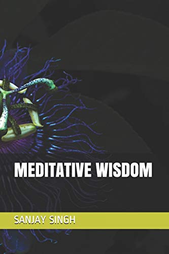 Stock image for Meditative Wisdom (Paperback) for sale by CitiRetail