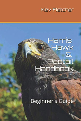 Stock image for Harris Hawk & Redtail Handbook: Beginner's Guide for sale by GreatBookPrices