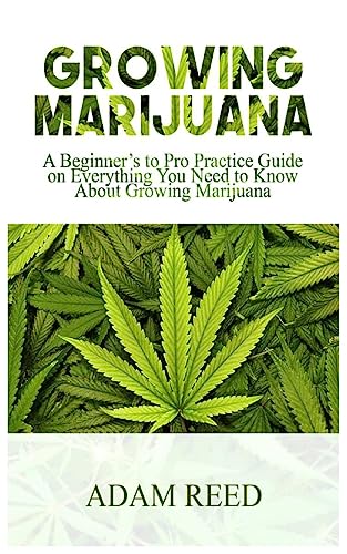 Stock image for Growing Marijuana: A Beginner's to Pro Practice Guide on Everything You Need to Know about Growing Marijuana for sale by GreatBookPrices