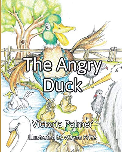 Stock image for The Angry Duck: Never Judge a Duck by Its Quack (Tales of Riversplash) for sale by AwesomeBooks