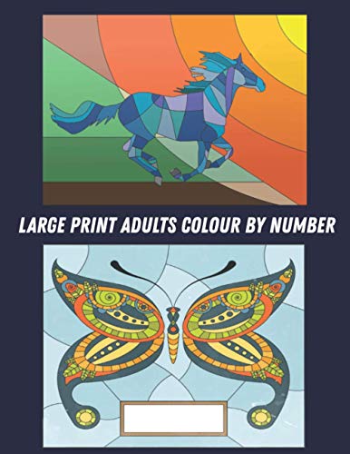 Stock image for Large Print Adults Colour by Number: Coloring Book with 60 Color By Number Designs of Animals, Birds, Flowers, Houses and Patterns Fun and Stress Reli for sale by GreatBookPrices