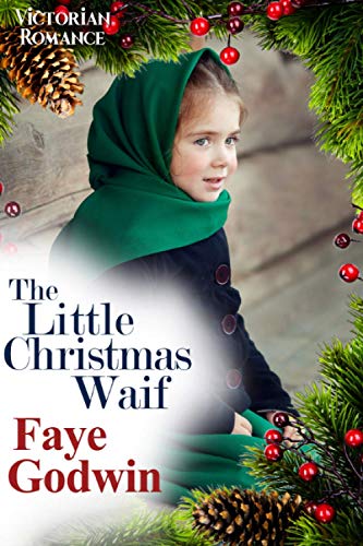 Stock image for The Little Christmas Waif for sale by MusicMagpie