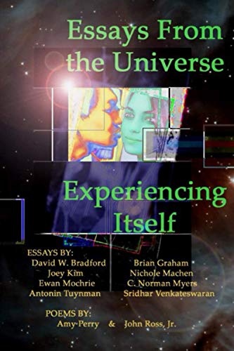 Stock image for Essays From the Universe Experiencing Itself for sale by HPB-Ruby