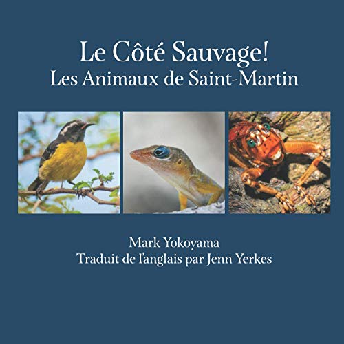 Beispielbild fr Le Ct Sauvage!: Les Animaux de Saint-Martin zum Verkauf von Red's Corner LLC
