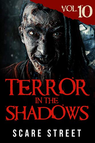 Stock image for Terror in the Shadows Vol. 10: Horror Short Stories Collection with Scary Ghosts, Paranormal Supernatural Monsters for sale by Shakespeare Book House