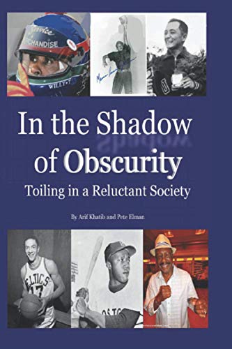 Stock image for In the Shadow of Obscurity: Toiling in a Reluctant Society for sale by Bahamut Media