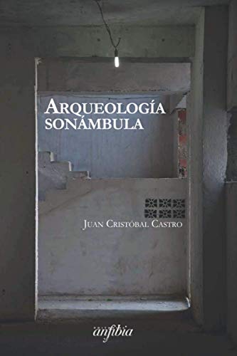 Stock image for Arqueologa sonmbula for sale by GreatBookPrices