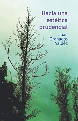 Imagen de archivo de Hacia una esttica prudencial (Spanish Edition) a la venta por ALLBOOKS1
