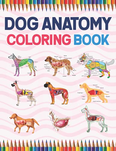 9798709145825: Dog Anatomy Coloring Book: Dog Anatomy Coloring Workbook for Kids, Boys, Girls & Adults. Introduction to Dog Anatomy Workbook. Simple Dog Body Parts ... Adults. Handbook of Veterinary Anesthesia.