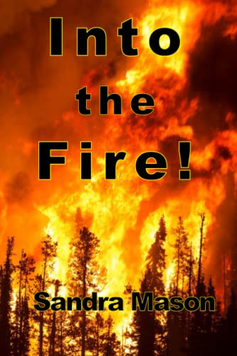 Stock image for Into the Fire for sale by PBShop.store US