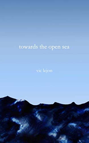 Stock image for towards the open sea for sale by Ria Christie Collections
