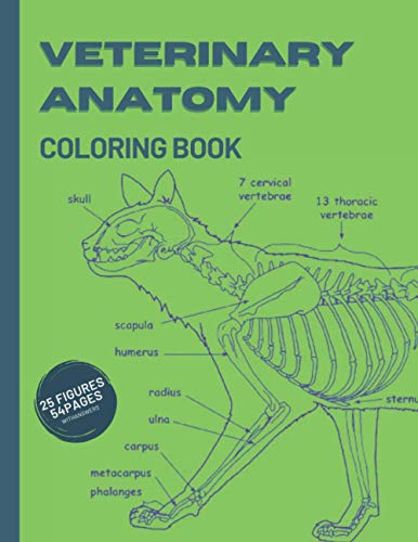 Beispielbild fr VETERINARY ANATOMY COLORING BOOK - 25 FIGURES - 54 PAGES: Animal Anatomy and Veterinary Physiology Coloring Book Vet Tech - Animals worksheets for Studying and Relaxation zum Verkauf von HPB-Diamond