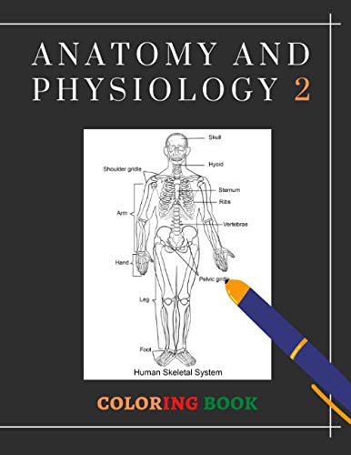 Stock image for anatomy and physiology coloring book 2: Instructive Guide to the Human Body + Worksheet (anatomy and physiology coloring books) for sale by GreatBookPrices