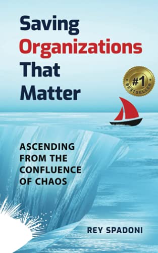 Imagen de archivo de Saving Organizations That Matter: Ascending From the Confluence of Chaos a la venta por Drew