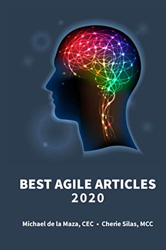 Beispielbild fr Best Agile Articles 2020 zum Verkauf von ALLBOOKS1
