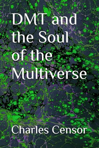 Immagine dell'editore per DMT and the Soul of the Multiverse venduto da Ria Christie Collections