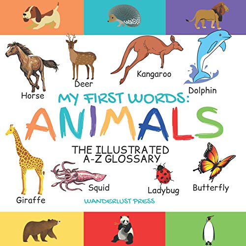 Stock image for My First Words: Animals: The Illustrated A-Z Glossary Of The Animal Kingdom For Preschoolers for sale by Ria Christie Collections