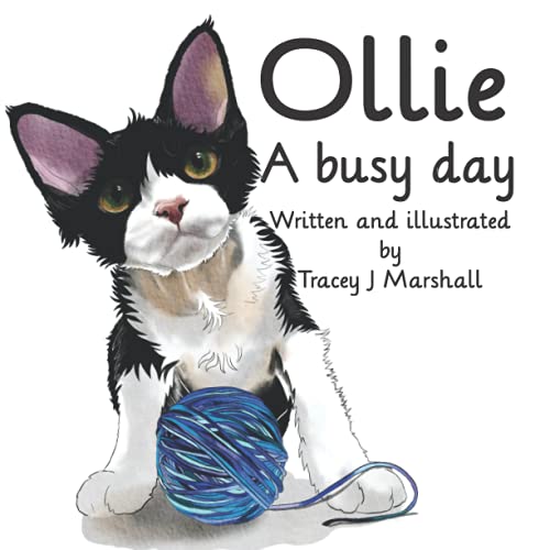 Stock image for Ollie: A Busy Day for sale by MusicMagpie