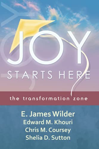 Imagen de archivo de Joy Starts Here: the transformation zone a la venta por California Books