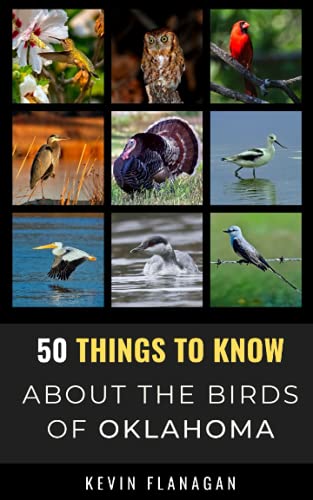 Beispielbild fr 50 Things to Know About Birds in Oklahoma: Birding in the Oklahoma zum Verkauf von GreatBookPrices
