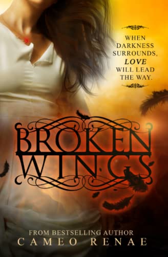 Stock image for Broken Wings (Hidden Wings Series Book Two) for sale by Omega